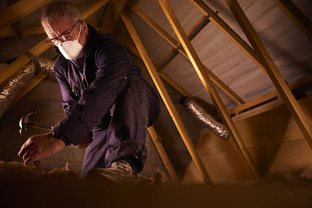 Best Types of Insulation in Westgate, FL